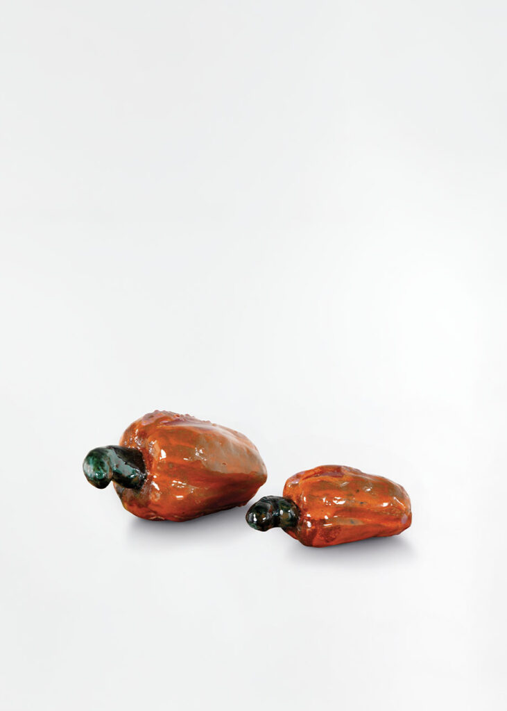 Fruta (Par de Caju), 2025